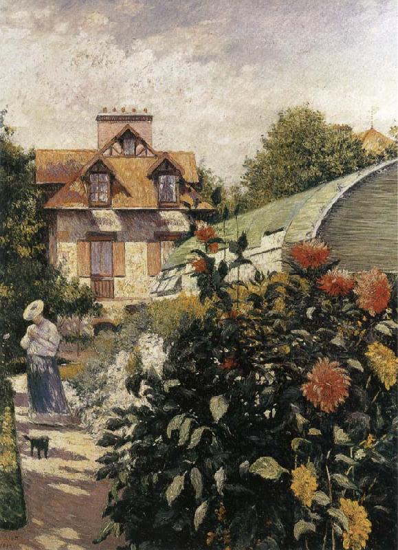 Gustave Caillebotte Big Chrysanthemum in the garden oil painting image